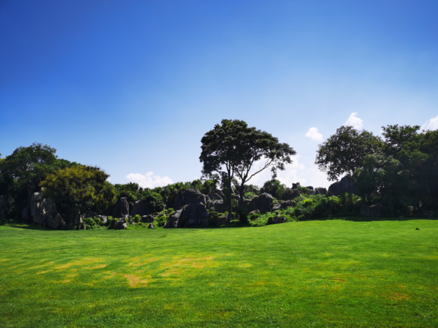 雄達國際昆明之旅 雄達國際昆明之旅